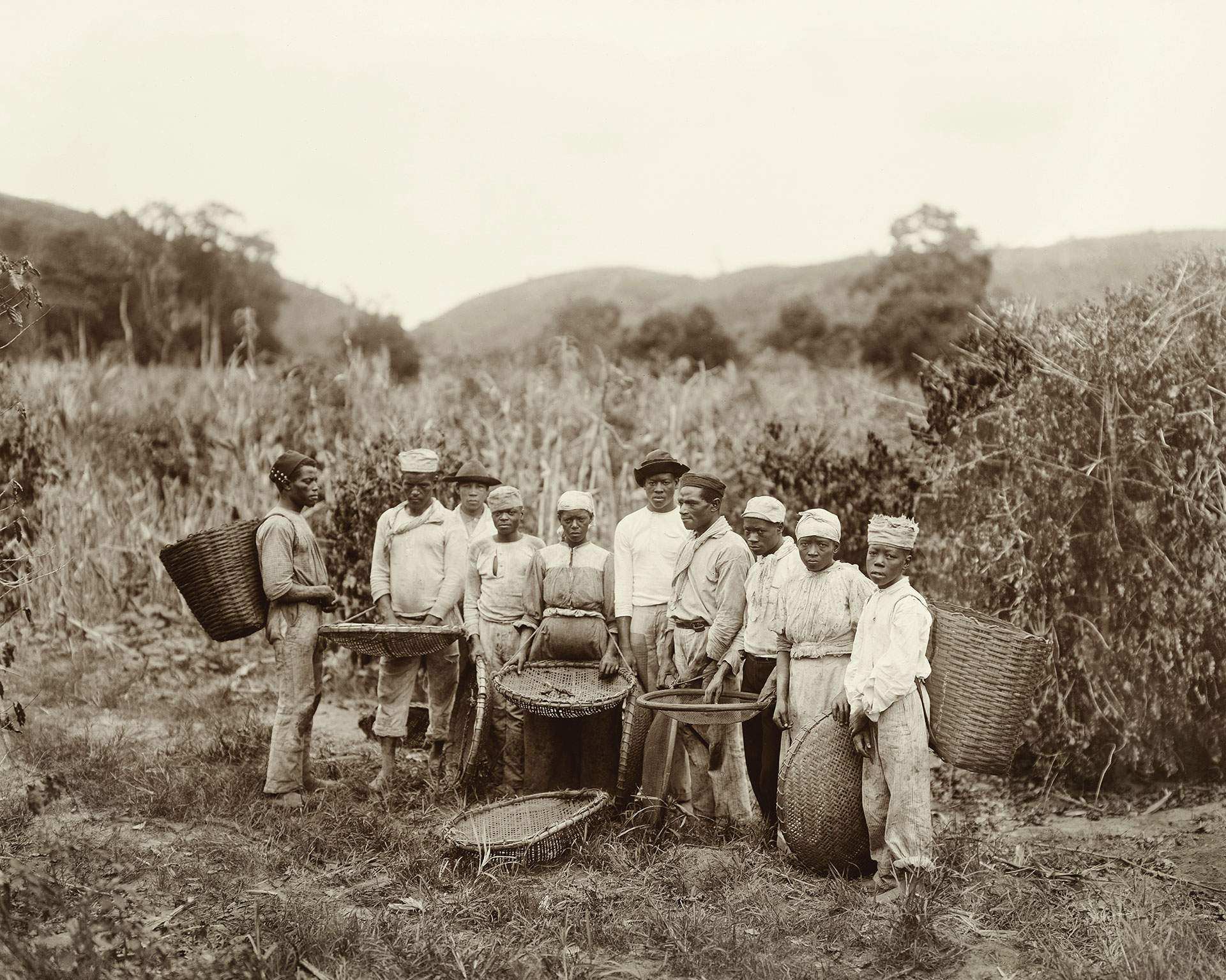 Marc Ferrez photograph, c. 1882, of enslaved workers on a Brazilian coffee plantation.